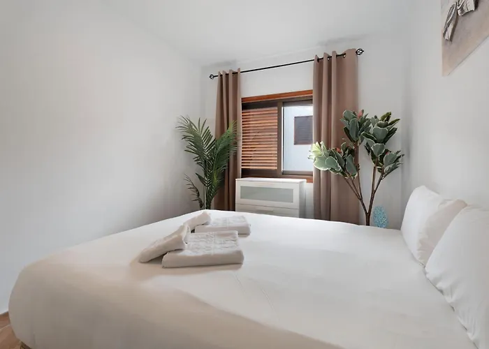 Delfin Amarillo Gigantes Santiago del Teide